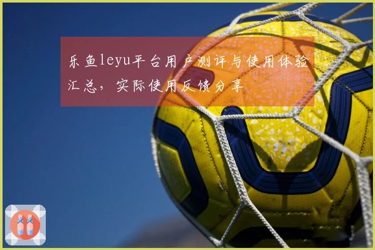 乐鱼leyu平台用户测评与使用体验汇总,实际使用反馈分享
