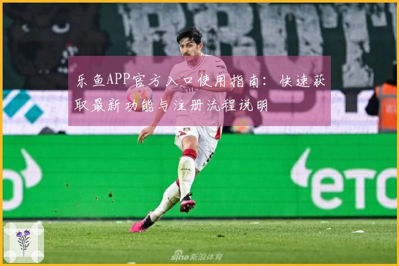 乐鱼APP官方入口使用指南：快速获取最新功能与注册流程说明