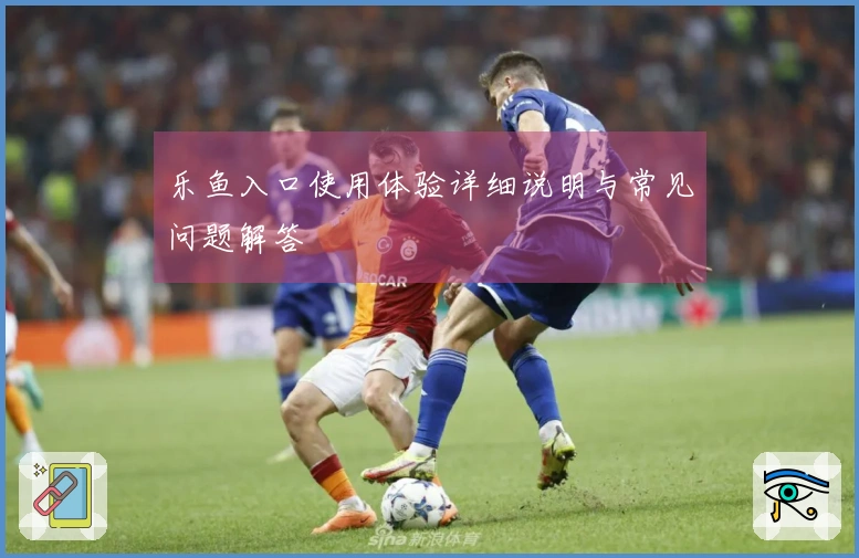 乐鱼入口使用体验详细说明与常见问题解答