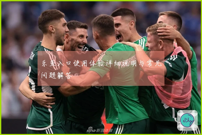 乐鱼入口使用体验详细说明与常见问题解答