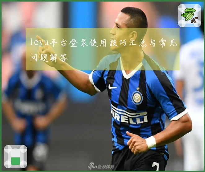 leyu平台登录使用技巧汇总与常见问题解答