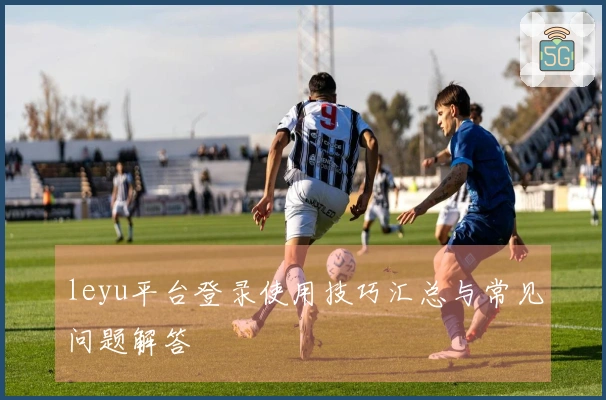 leyu平台登录使用技巧汇总与常见问题解答