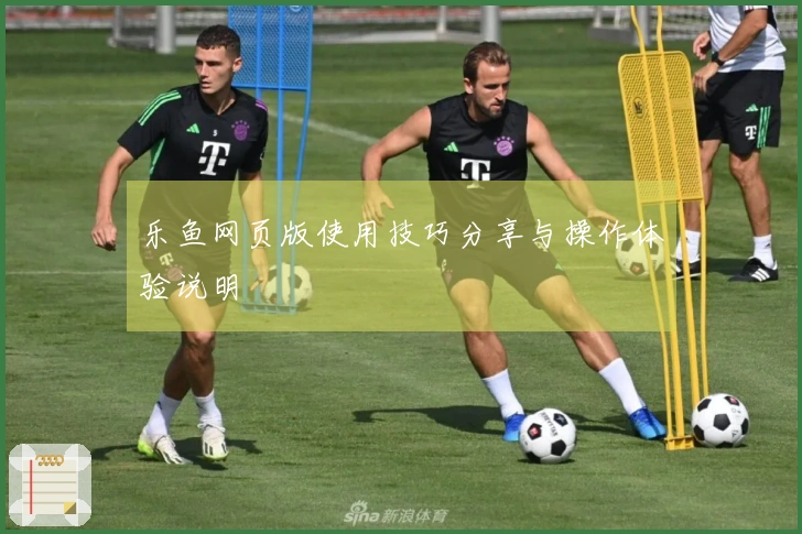 乐鱼网页版使用技巧分享与操作体验说明