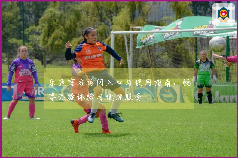乐鱼官方访问入口与使用指南,畅享无缝体验与便捷服务