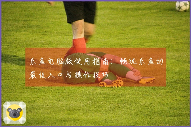 乐鱼电脑版使用指南：畅玩乐鱼的最佳入口与操作技巧